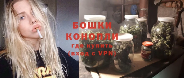 дживик Кинешма